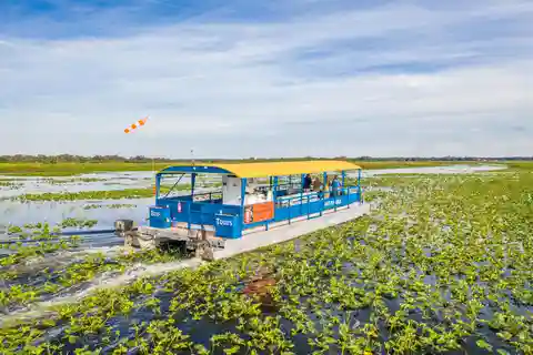 Kissimmee: Passeio de barco com pontão pelos Everglades da Florida