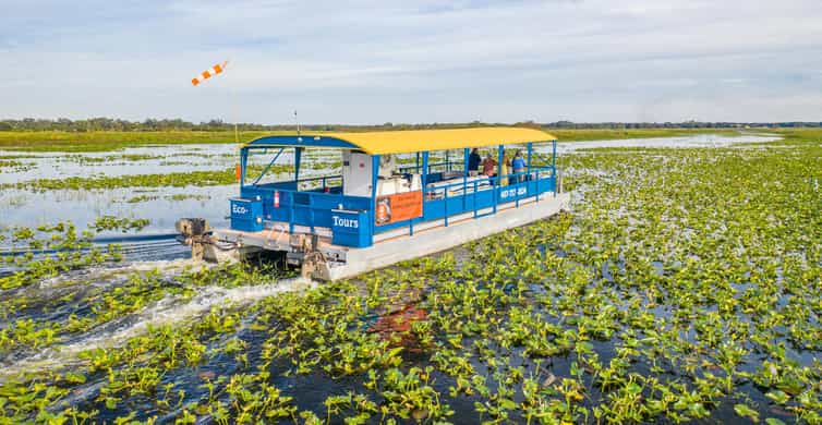 Kissimmee: Florida Everglades Pontoon Boat Tour