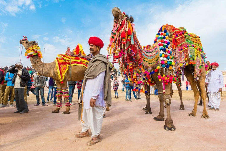 Vanuit Jaipur: Privé dagtrip Ajmer &amp; Pushkar op dezelfde dag
