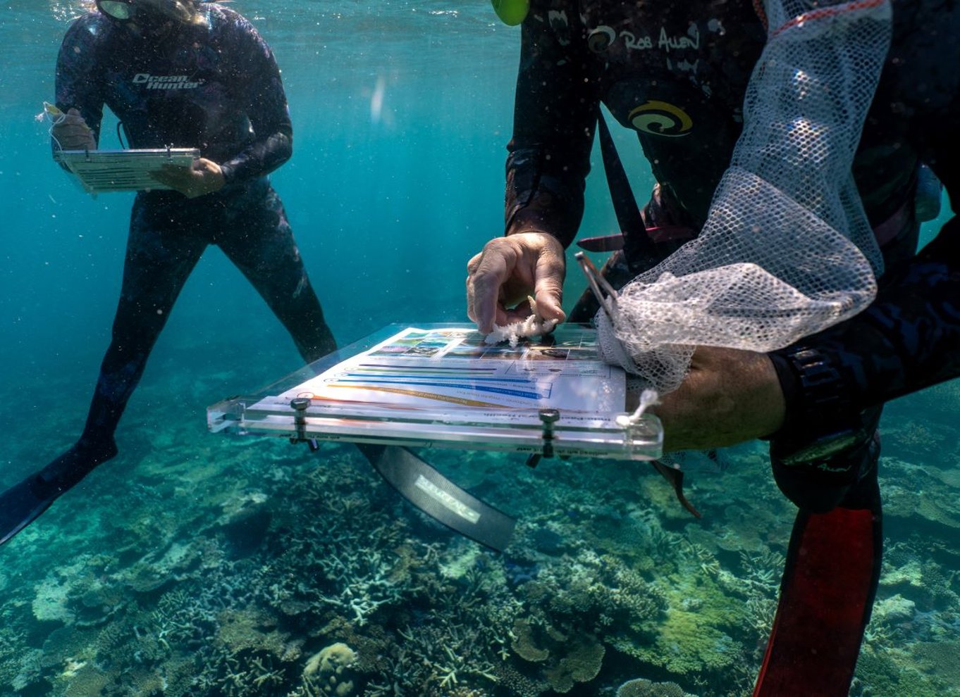 Dagstur med dykning på det sydlige Great Barrier Reef