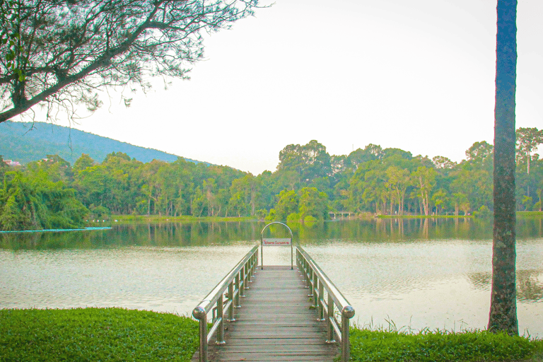 Chiang Mai Wat U Mong, Baan Kang Wat i jedzenie w wykonaniu Songtaew Trio