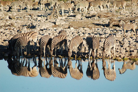 10 Days Beauty of Namibia | Guided Camping