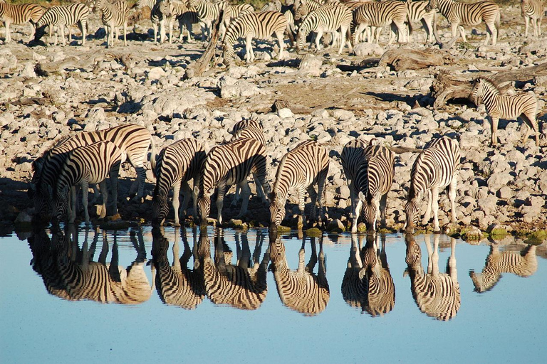 10 Days Beauty of Namibia | Guided Camping