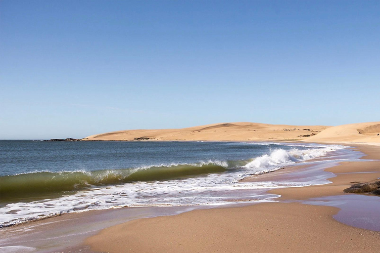 Kompletna wycieczka po UrugwajuZakwaterowanie Premium