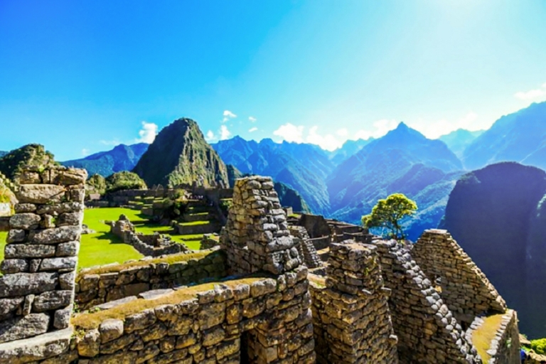 Desde Cuzco: tour en grupo de 1 día de Machu PicchuExcursión a Machu Picchu con Tren Vistadome y Circuito 4-5