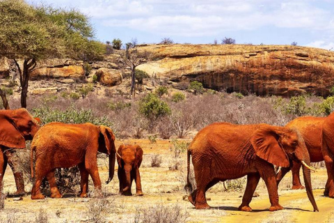 From Diani/Mombasa: 3-Days Tsavo East and Saltlick Lodge