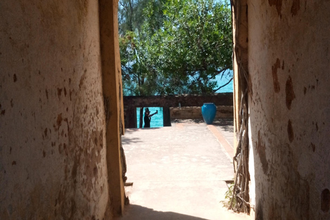 Zanzibar: tour guidato dell'isola prigione con guida localeZanzibar: tour guidato dell'isola prigione con una guida locale