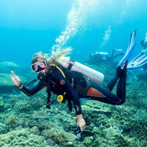 Bodrum: Guided Scuba Diving Experience with Transfer