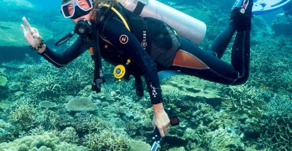 Bodrum: Guided Scuba Diving Experience with Transfer