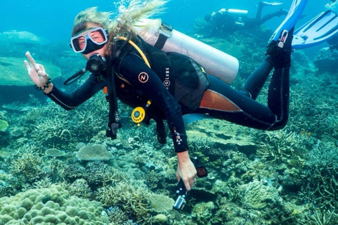 Bodrum: Guided Scuba Diving Experience with Transfer Single Dive Package (with Hotel Transfer)
