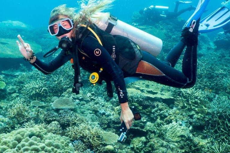 Bodrum: Guided Scuba Diving Experience with Transfer Single Dive Package (with Hotel Transfer)