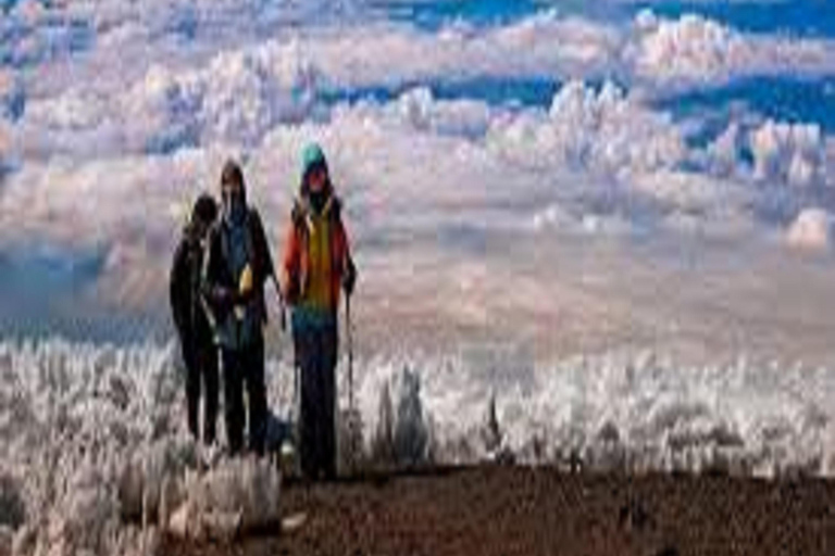 IL MIGLIOR TOUR DI 2 GIORNI SULL&#039;ALTOPIANO DI SHIRA DEL KILIMANJARO CON L&#039;AVVENTURA IN AUTO