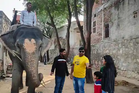 Jaipur: Full-Day city Tour By AC vehicle with Guide