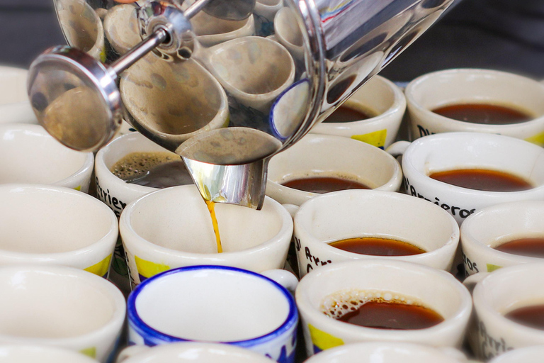 From Medellin: Coffee and Comuna 13 Tour with PRIVATE transportation From Medellin: Coffee Tour and Comuna 13 with PRIVATE transportation