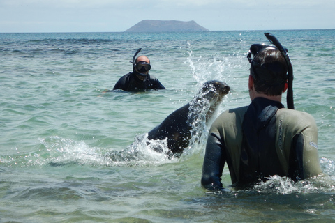 Galapagos: Tour Inselhopping 7 Tage - 6 Nächte