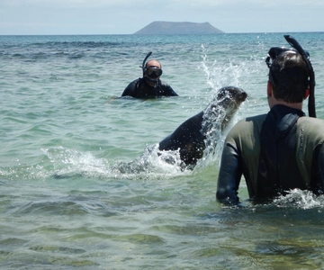 Galapagos: Tour Island Hopping 7 days - 6 nights