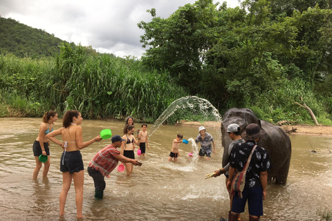 Chiang Mai: 2-dagars djungelvandring med elefantfarm och forsränning