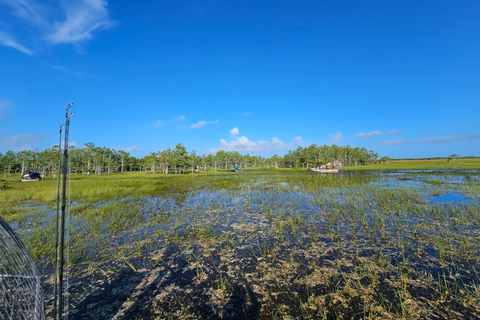 Everglades: auf flachem Motorboot mit Transport