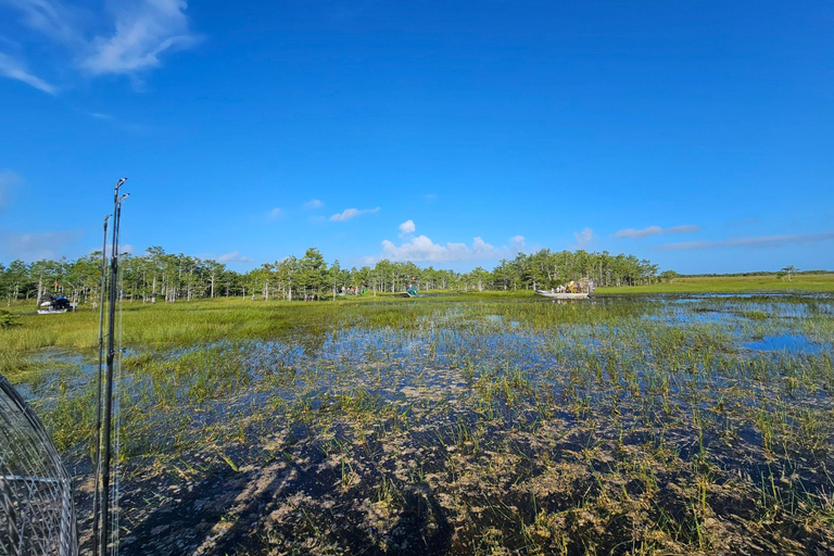 Everglades: på båt med platt framdrivning och transport