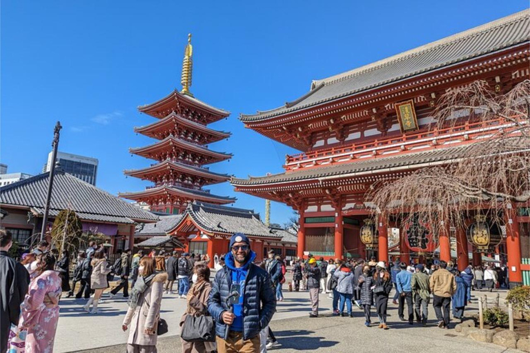 From Narita:Tokyo Layover Tour with Licensed Guide&Vehicle Mini van (UP to 4 PAX)