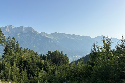 La forêt comme salle d&#039;évasion pour toute la famille