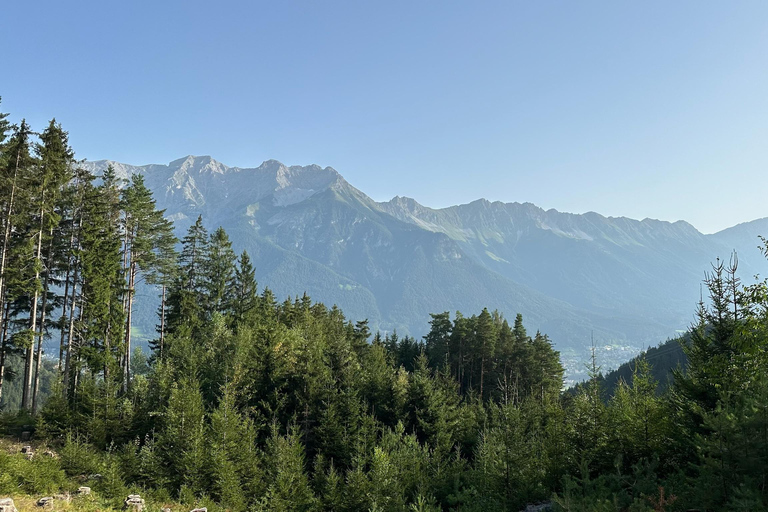 La forêt comme salle d&#039;évasion pour toute la famille