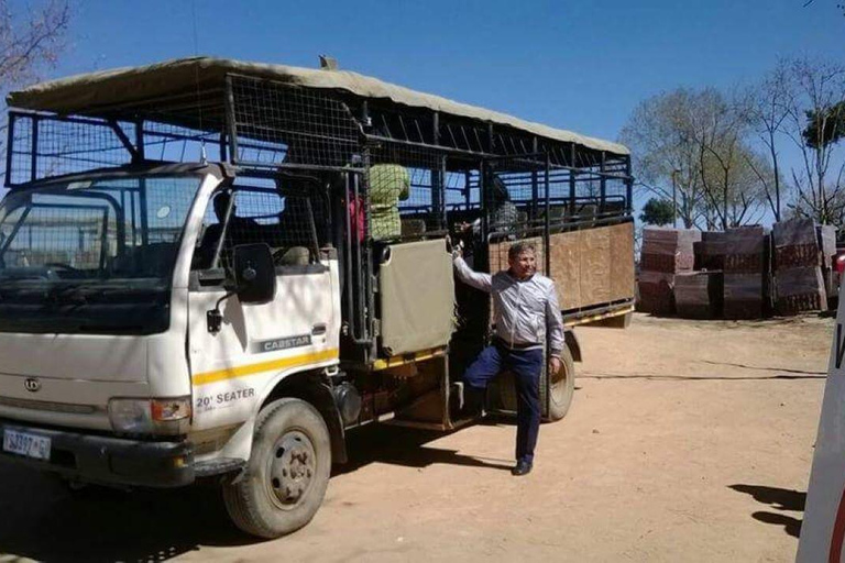 Parc des lions et safari : Safari en véhicule ouvert