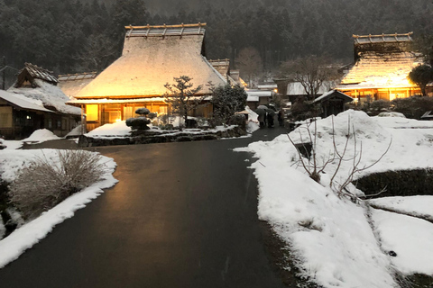 From Osaka: Amanohashidate, Ine Bay, and Miyama Day Trip From Osaka: Amanohashidate, Ine Bay, and Miyama Day Trip