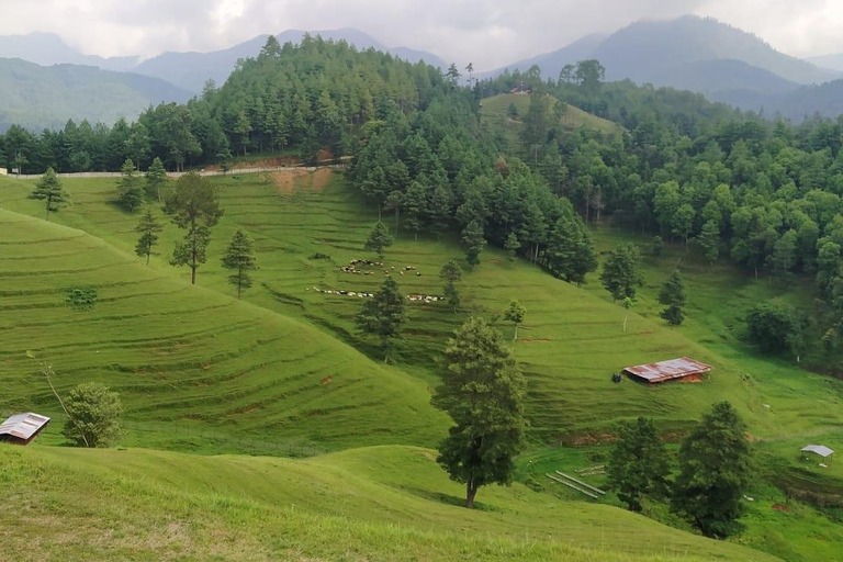 Kathmandu: 4-Day Chitwan National Park & Chitlang Tour