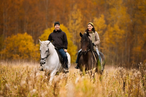 Rovaniemi: Horse Riding in Arctic WildernessHorse Riding in Arctic Wilderness - Small Group