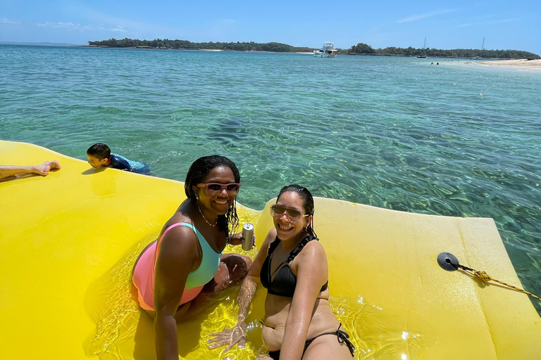 Panama City: Experience the best whale watching in Las Perlas Panama City: Experience the Best Whale Watching in Las Perlas