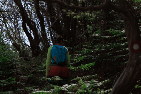Budva: Kayak & Hike Experience on Sveti Nikola Island