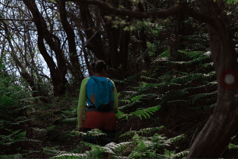 Budva: Kayak & Hike Experience on Sveti Nikola Island