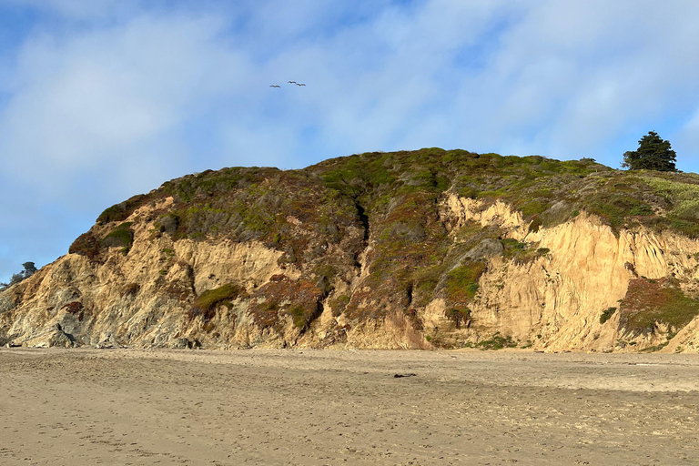 Baker Beach Hike