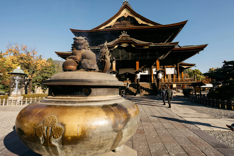 From Tokyo: Nagano, Zenkoji Temple, Snow Monkeys Day Trip From Tokyo: Private Day Trip to Nagano, Temple, Snow Monkeys