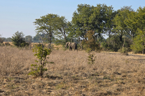 Livingstone: Game Drive And Rhino Walk Experience