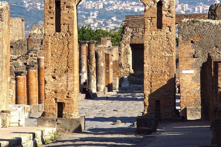 From Amalfi: Pompeii and Mount Vesuvius Winery Private Tour