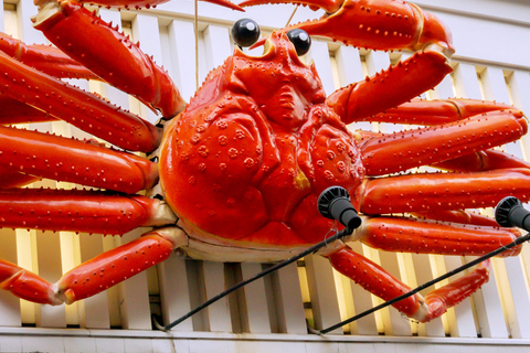 Osaka City Private Sightseeing Tour With Hotel Pick N Drop