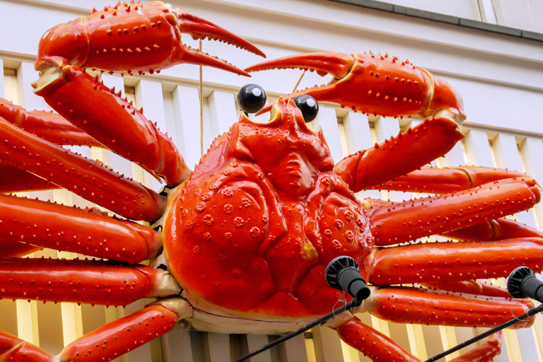 Osaka City Private Sightseeing Tour With Hotel Pick N Drop