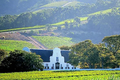 Le Cap : visite privée d'une journée dans les vignobles du Cap avec dégustation de vins