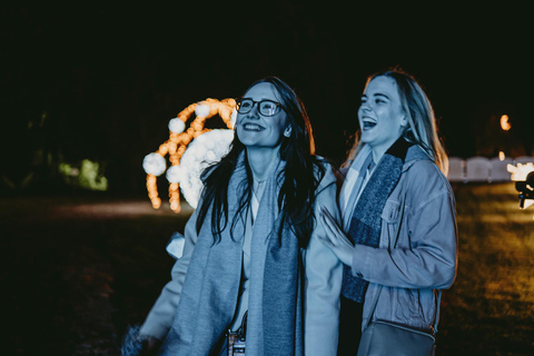 Budapest: biglietto d'ingresso per il Lumina Light Park Wonderworld