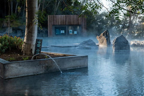 Akureyri: Northern Lights Hunt with Forest Lagoon Entry