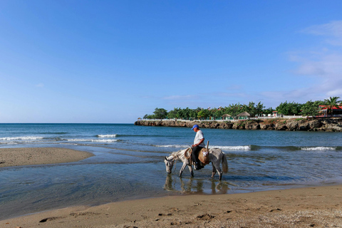 Mahé Island: Jungle and Beach Horseback Riding Tour