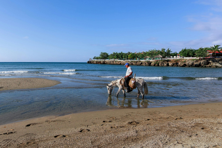 Mahé Island: Jungle and Beach Horseback Riding Tour