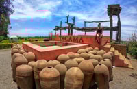 ICA ||Pisco y Wine Tour con viaje al desierto - Housity