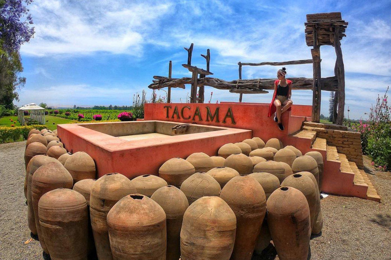 Desde Ica: Tour a Viñedos de Vino y Pisco | Degustación Gratis |