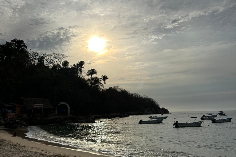 Puerto Vallarta: Bioluminescencja w Parku Morskim Los Arcos