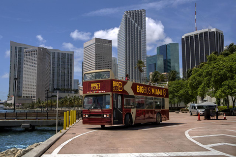 Miami: Avventura nelle Everglades e Tour in autobus Hop-on Hop-offMiami: Esperienza delle Everglades e tour di 1 giorno in autobus Hop-on Hop-off