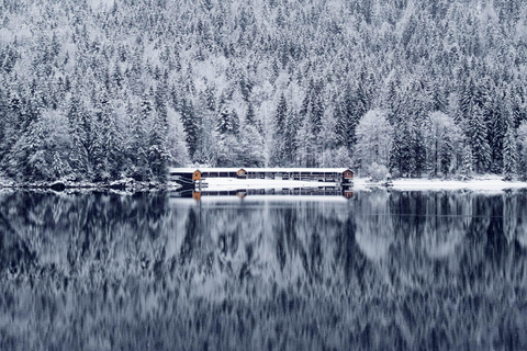 Munich: Zugspitze, Eibsee & Neuschwanstein. Private Tour