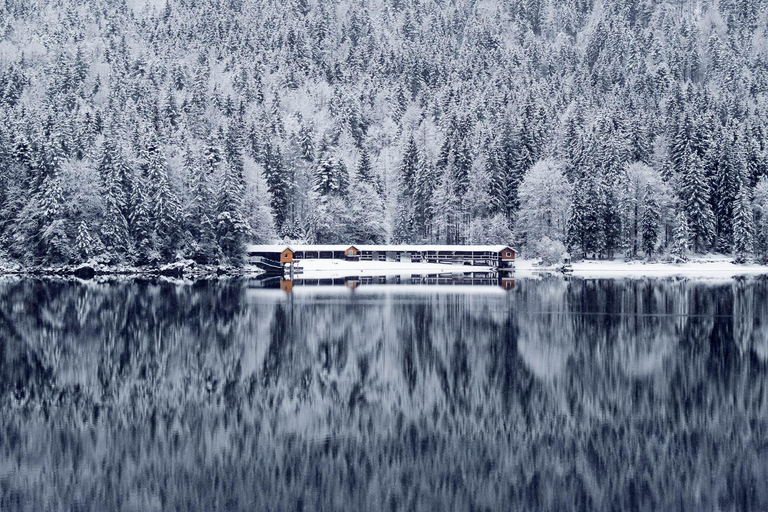 Munich: Zugspitze, Eibsee & Neuschwanstein. Private Tour